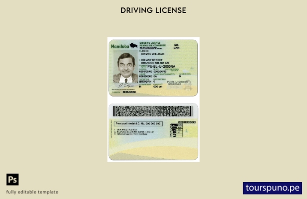 lista para imprimir plantilla de licencia de conducir de la provincia de Canad 1